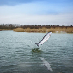 NAUTICAL LIVING 10 Kg